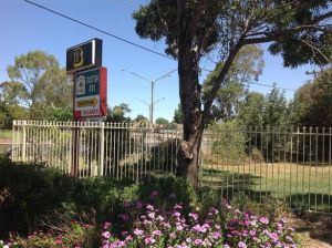 Forest Lodge Motor Inn And Restaurant - Darwin Tourism 0