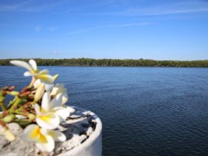 The Fishing Haven Holiday Park - Darwin Tourism 0