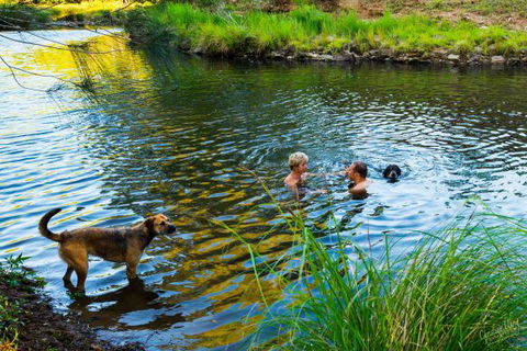 Terania Green Boutique Eco Cottages - Darwin Tourism 4