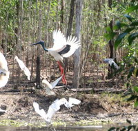Rakhi Retreat - Darwin Tourism
