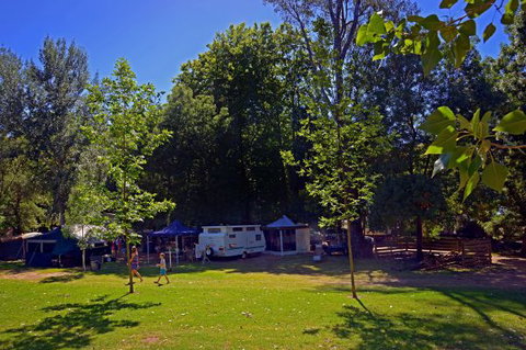Ardern's Caravan Park, Myrtleford - Darwin Tourism 0