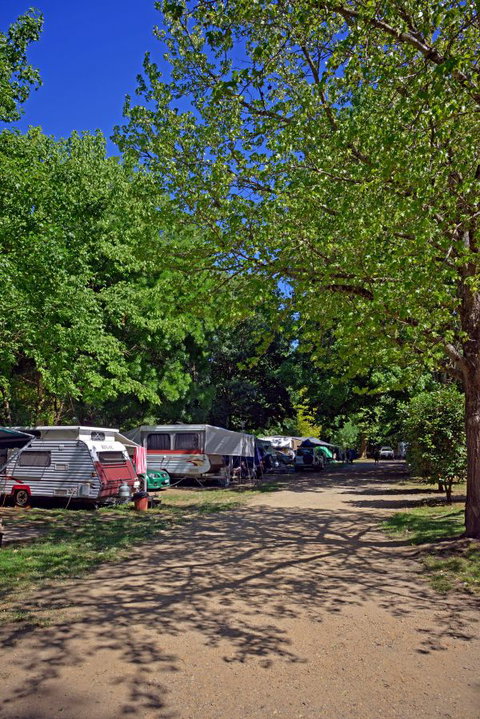 Ardern's Caravan Park, Myrtleford - Darwin Tourism 1