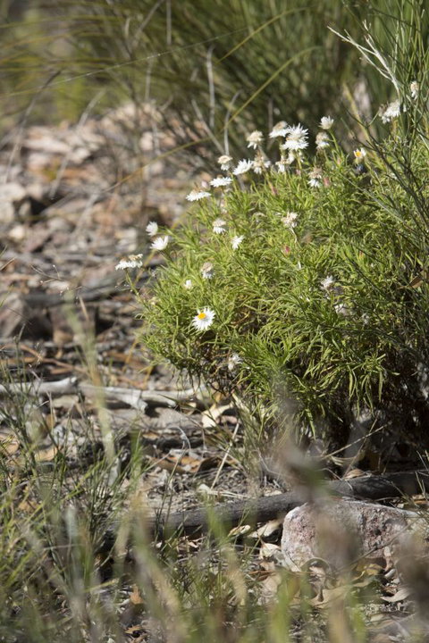 Kroombit Tops National Park Camping Ground - Darwin Tourism 1