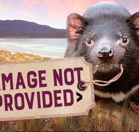 Thalia Haven - Darwin Tourism