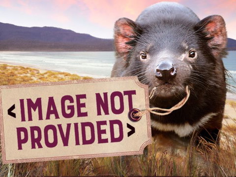 Thalia Haven - Darwin Tourism 0