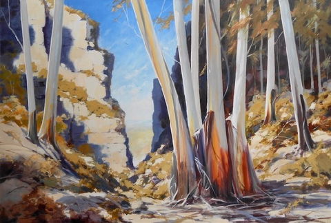 Gallery Blackheath - Darwin Tourism 0