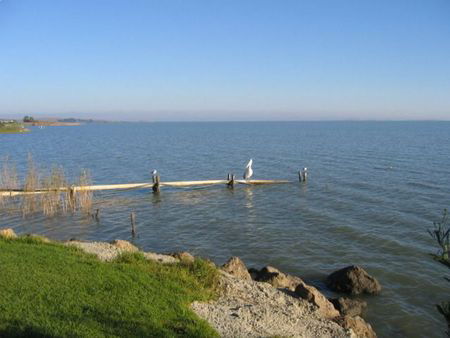 Lake Albert Caravan Park - Darwin Tourism 5