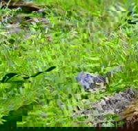 Morialta Bed And Breakfast - Darwin Tourism