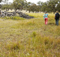 Carnarvon National Park camping - Darwin Tourism