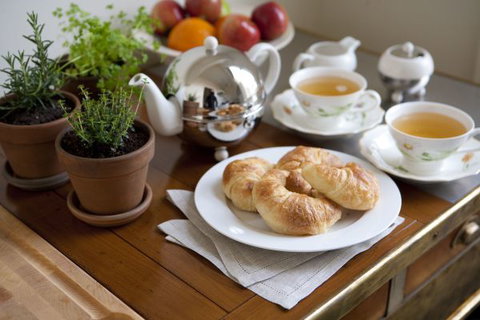 Circa 1860 - Darwin Tourism 6