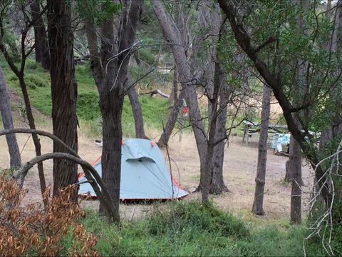 Allports Beach Camping Ground - Darwin Tourism 5