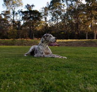 Hunter Valley Retreat - Darwin Tourism