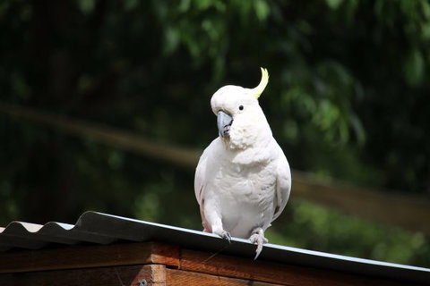 Jamieson Caravan Park - Darwin Tourism 2