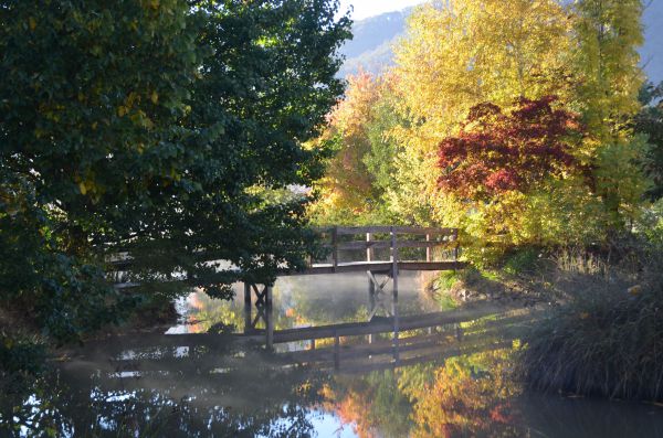 Nug Nug VIC Darwin Tourism
