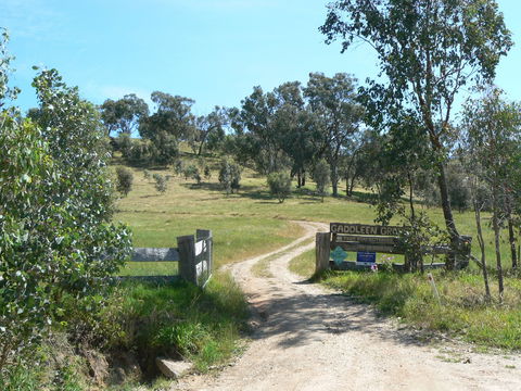 Gaddleen Grove Cottages - Darwin Tourism 3