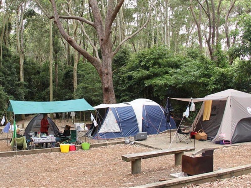 Washpool NSW Darwin Tourism