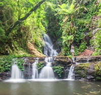 O'Reilly's Rainforest Retreat - Darwin Tourism