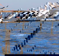 Pelican Perch Retreat - Darwin Tourism