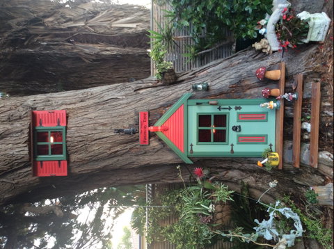 Seacove On The Beach - Darwin Tourism 8