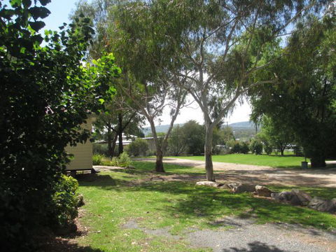 Tenterfield Lodge Caravan Park - Darwin Tourism 1