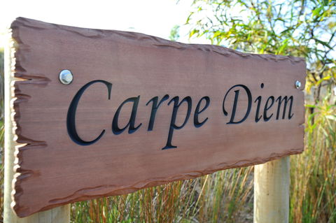 Carpe Diem - Darwin Tourism 0
