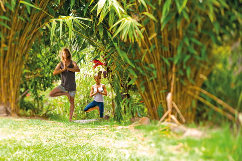Eternity Springs Art Farm Bed And Breakfast - Darwin Tourism 2