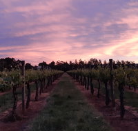 Milawa Vineyard Views - Darwin Tourism