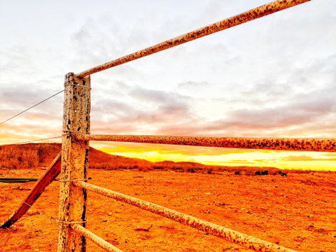 MtGipps StationStay - Darwin Tourism 0