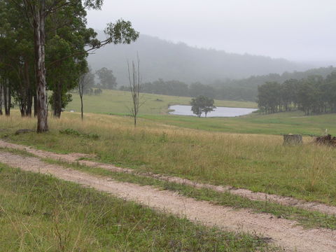 Terab Park Farm - Darwin Tourism 3