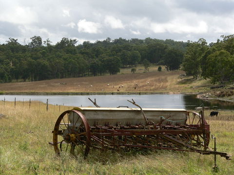 Terab Park Farm - Darwin Tourism 4