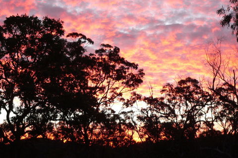 Terab Park Farm - Darwin Tourism 5