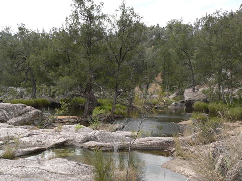 Terab Park Farm - Darwin Tourism 6