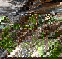 Melaleuca Surfside Backpackers - Darwin Tourism