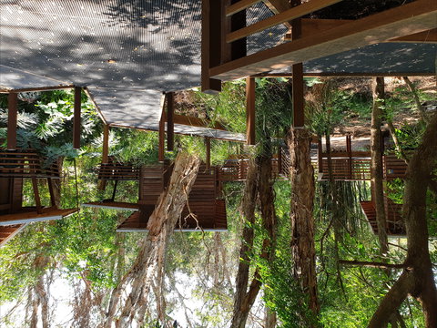 Melaleuca Surfside Backpackers - Darwin Tourism 0