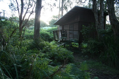 Melaleuca Surfside Backpackers - Darwin Tourism 1