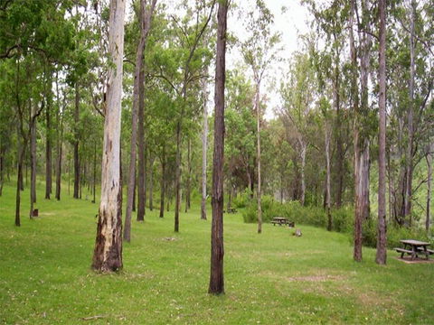 Nymboida River Campground - Darwin Tourism 1