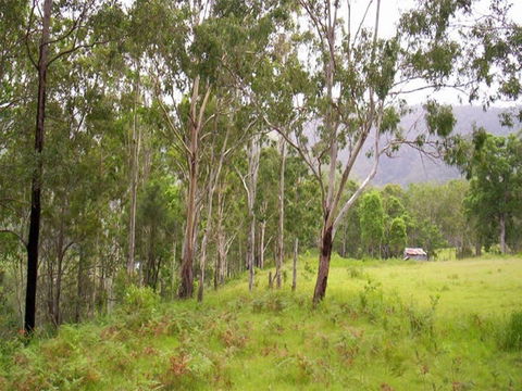 Nymboida River Campground - Darwin Tourism 2