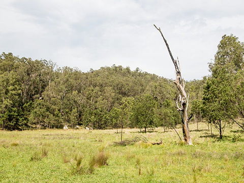 Mountain Arm Campground - Darwin Tourism 2