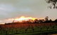 The Grove Distillery And Brewery - thumb 0