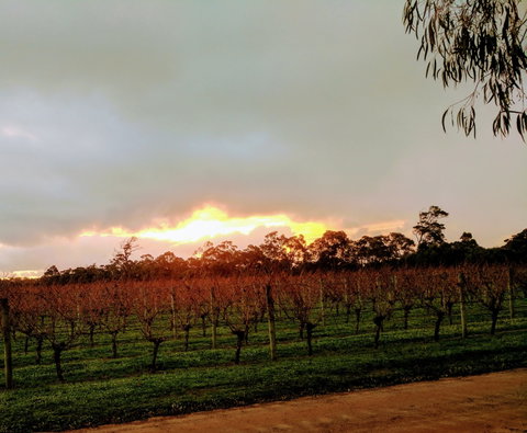 The Grove Distillery And Brewery - Darwin Tourism 0