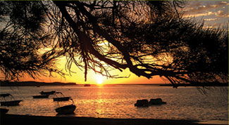Pelican's Nest - Darwin Tourism 0