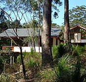 Grass Trees Escape - Darwin Tourism
