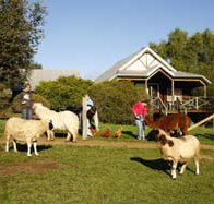 Sunnyhurst Chalets