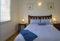 The Miners Arms - Darwin Tourism 3