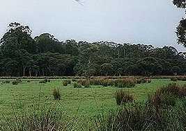 Bush Haven - Darwin Tourism 4