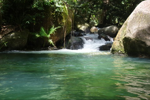 Daintree Secrets Rainforest Sanctuary - Darwin Tourism 0