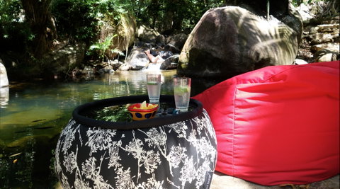 Daintree Secrets Rainforest Sanctuary - Darwin Tourism 1
