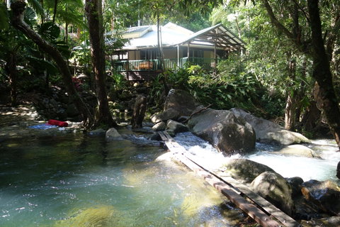 Daintree Secrets Rainforest Sanctuary - Darwin Tourism 2