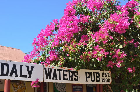 Daly Waters Historic Pub - Darwin Tourism 0