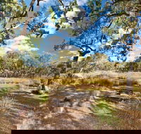 Kings Plains Creek campground - Darwin Tourism